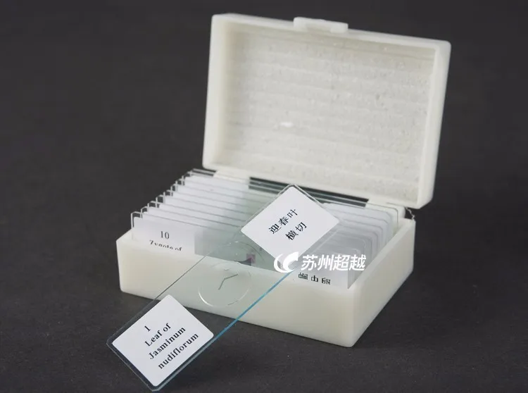 

free shipping Microscope slide slice 11 pcs/ set were mounted box
