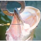 [5 шт./лот] Новый рыболовный крючок Sharp с зазубринами крюк снасти прокатки