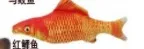 Кошка игрушечная рыба Интерактивная подушка для домашних животных жевательно-кусательная поставка для кошки/котенка рыбка флоп кошка игрушка для кота Crinkle игрушки - Цвет: paradise fish