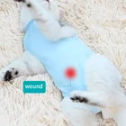 1 шт., облегающий костюм для кошек и собак