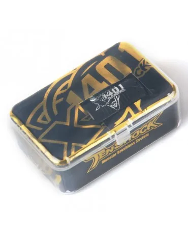 TS X1401 4 полюсный бесщеточный двигатель 3850KV/4150KV 1/14 1/10 RC обновленный OP монстр