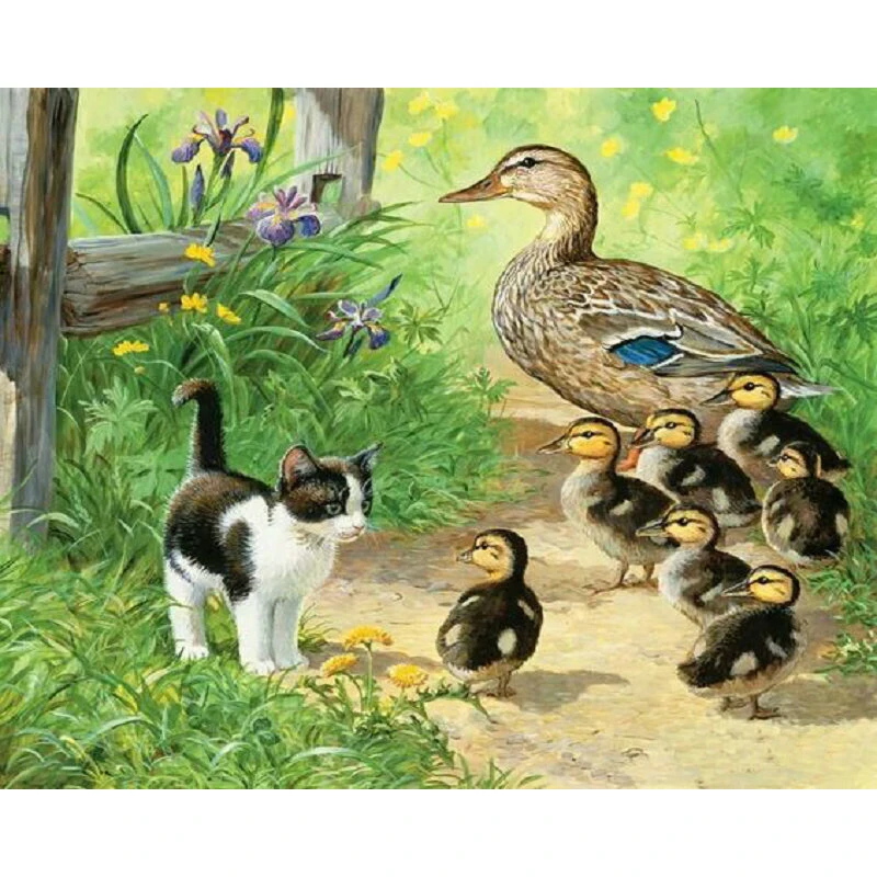 

YIKEE diamond painting Poultry and cats,diy painting,diamont painting K837