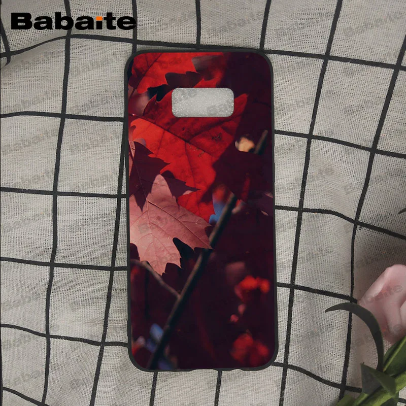 Осенний силиконовый чехол для телефона Samsung Galaxy s9 s8 plus note 8 note9 s7 s6edge funda Babaite |