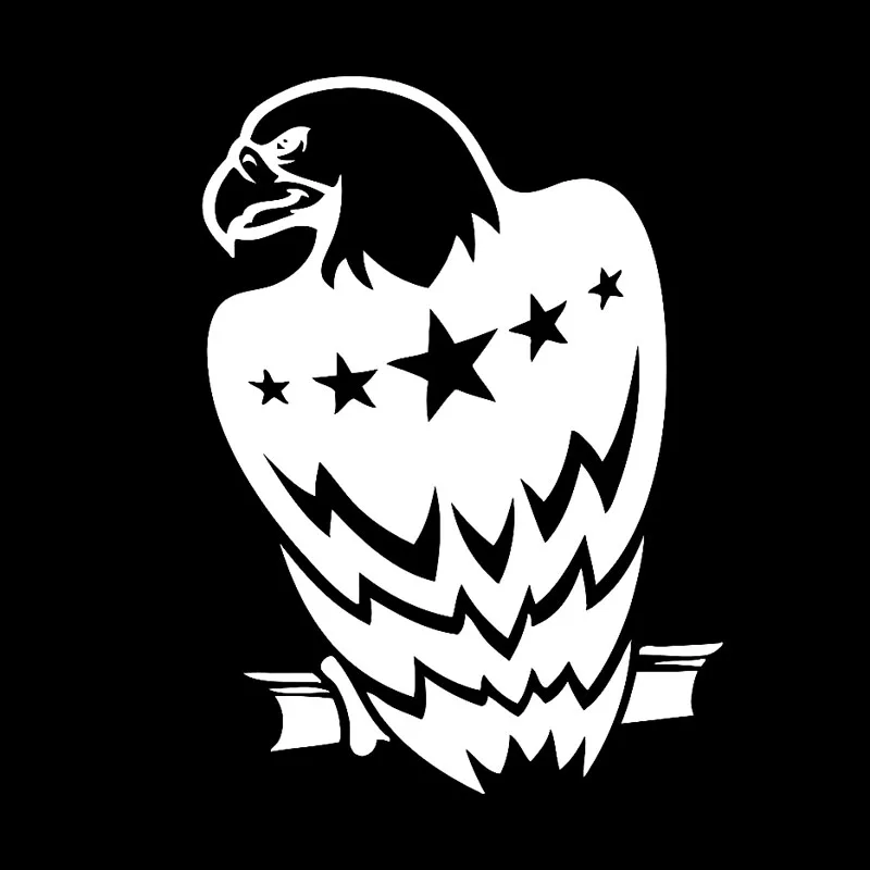 YJZT 11 6 см * 16 Eagle птицы с изображением американского флага звезды виниловые