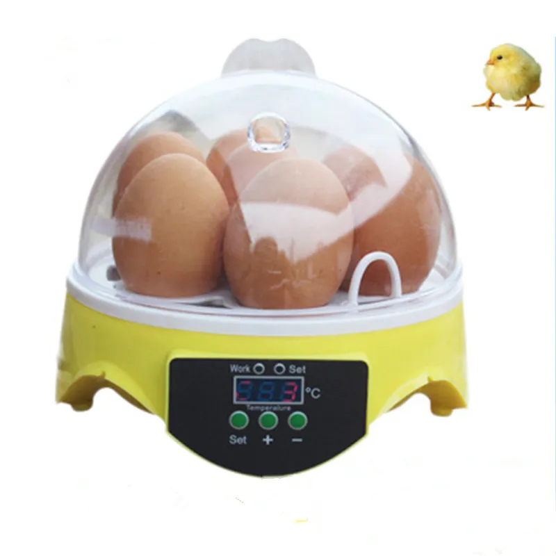 Incubadora de Gerencio Automático do Agregado Ovos Mini Familiar Controle Temperatura Pombo Frango Aves Hatcher 7