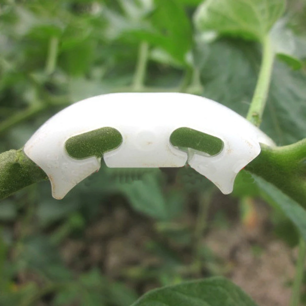 100 шт. помидор ферменной конструкции садовое растение Поддержка фиксирующий