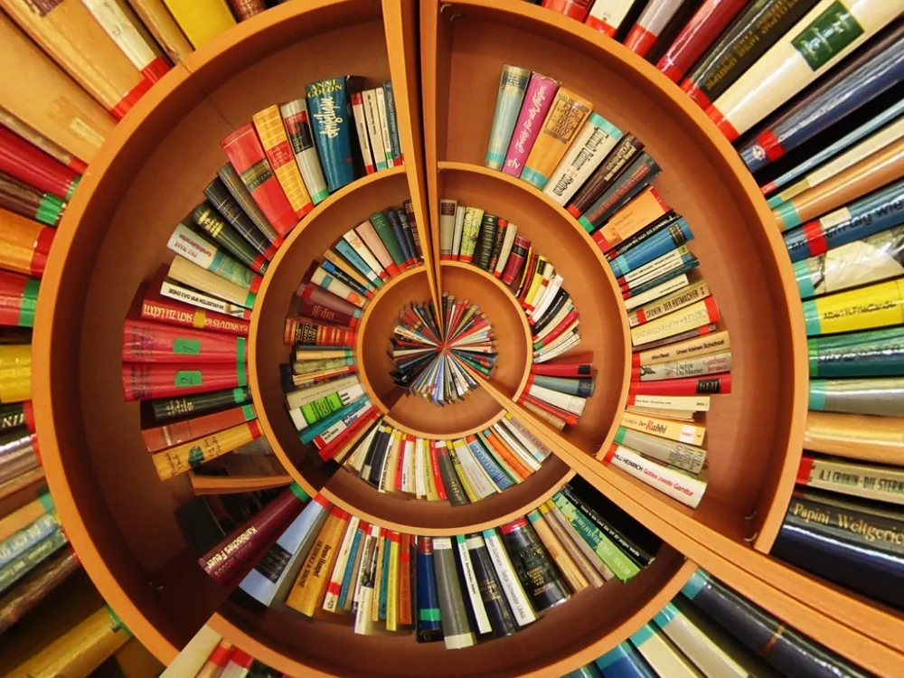 Шторы блэкаут с книжной полкой роскошные шторы для гостиной детской комнаты на