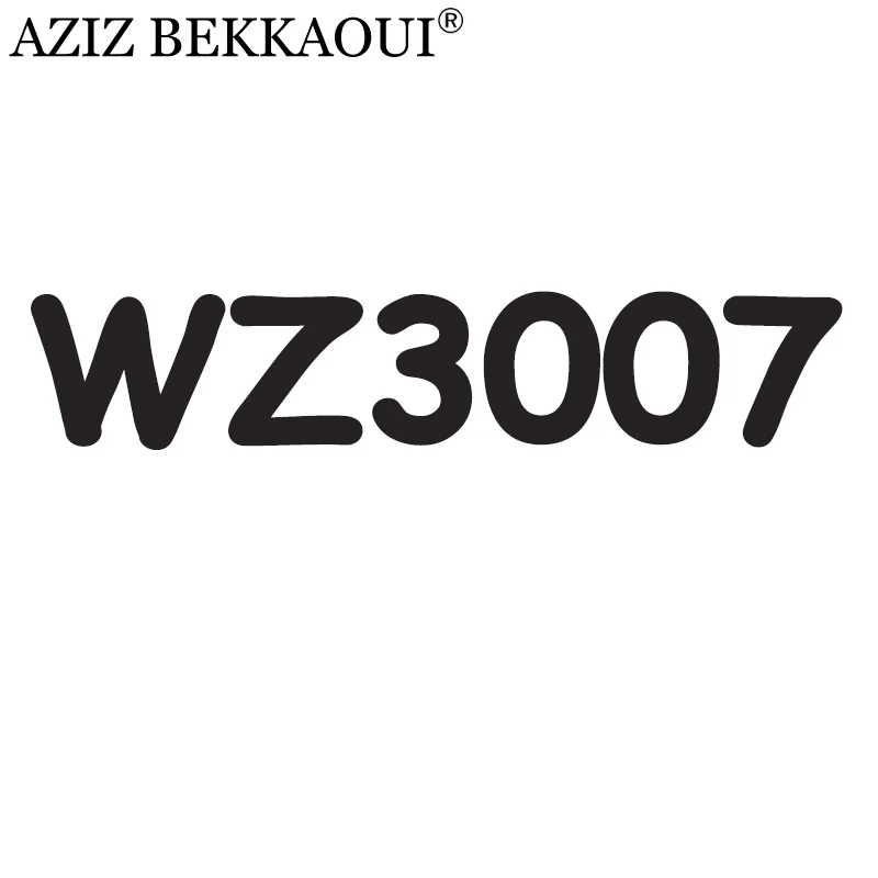 WZ3007 Азиз BEKKAOUI дропшиппинг DIY сервис индивидуальный логотип специальный подарок для влюбленных подарок на день Святого Валентина WZ3003-3008 - Окраска металла: WZ3007