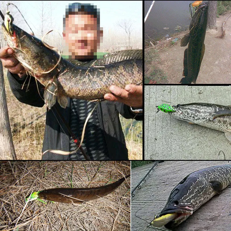 INFOF 10 шт./упак. Topwater блесна в виде Лягушки 8g/10g/14g Мягкая рыболовная приманка