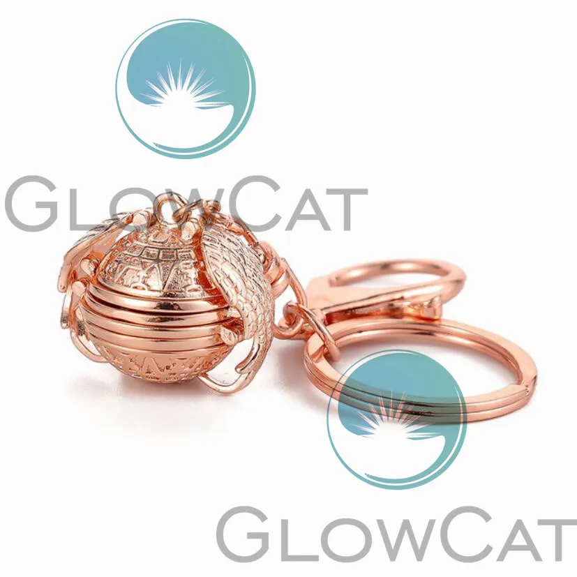 rose gold color Расширяющаяся Любовь волшебная фотография медальон память медальон брелки Крылья Ангела флэш-коробка модный альбом коробка брелок для женщин мужчин - Цвет: rose gold color