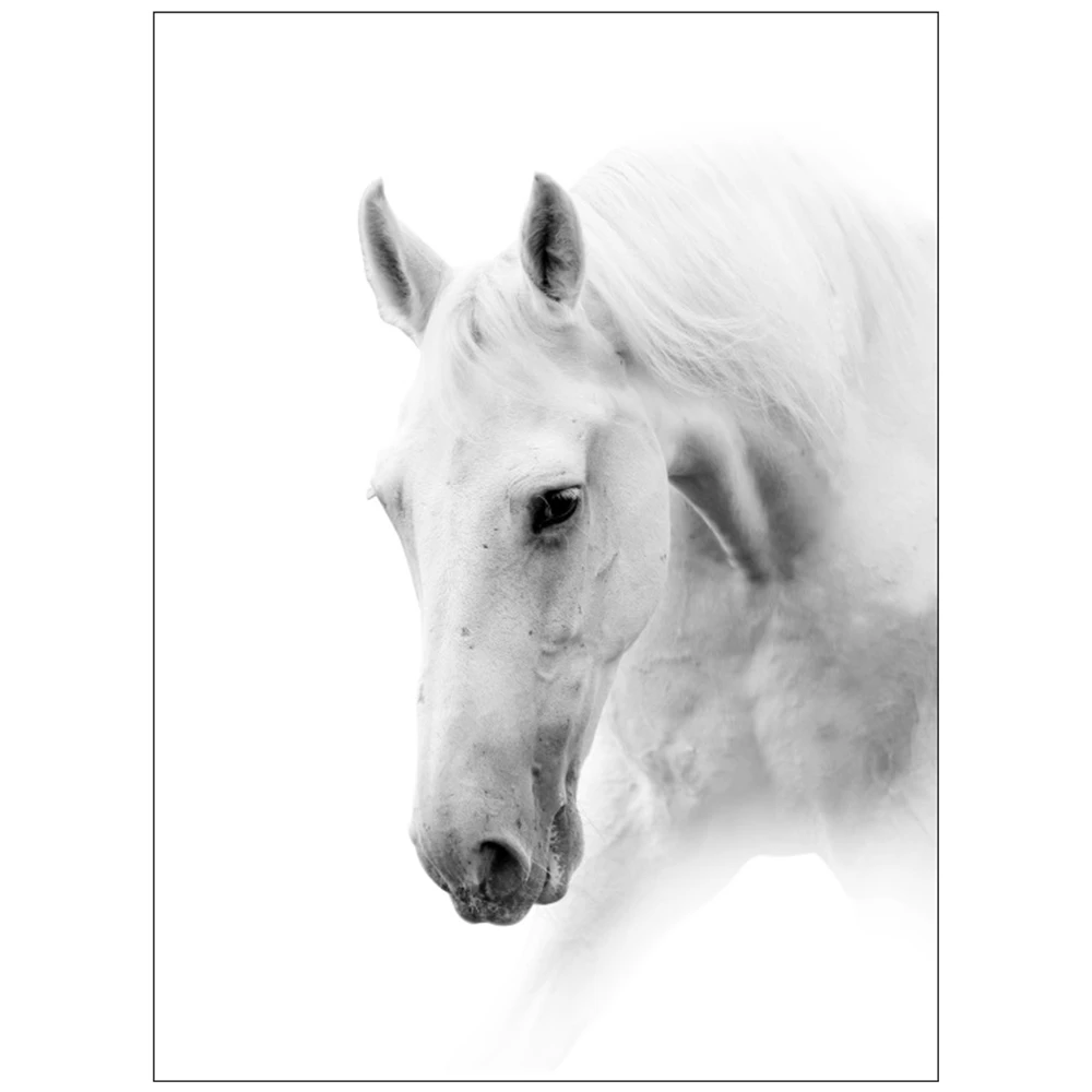 Черно белая голова лошади настенная Картина на холсте для гостиной Настенный