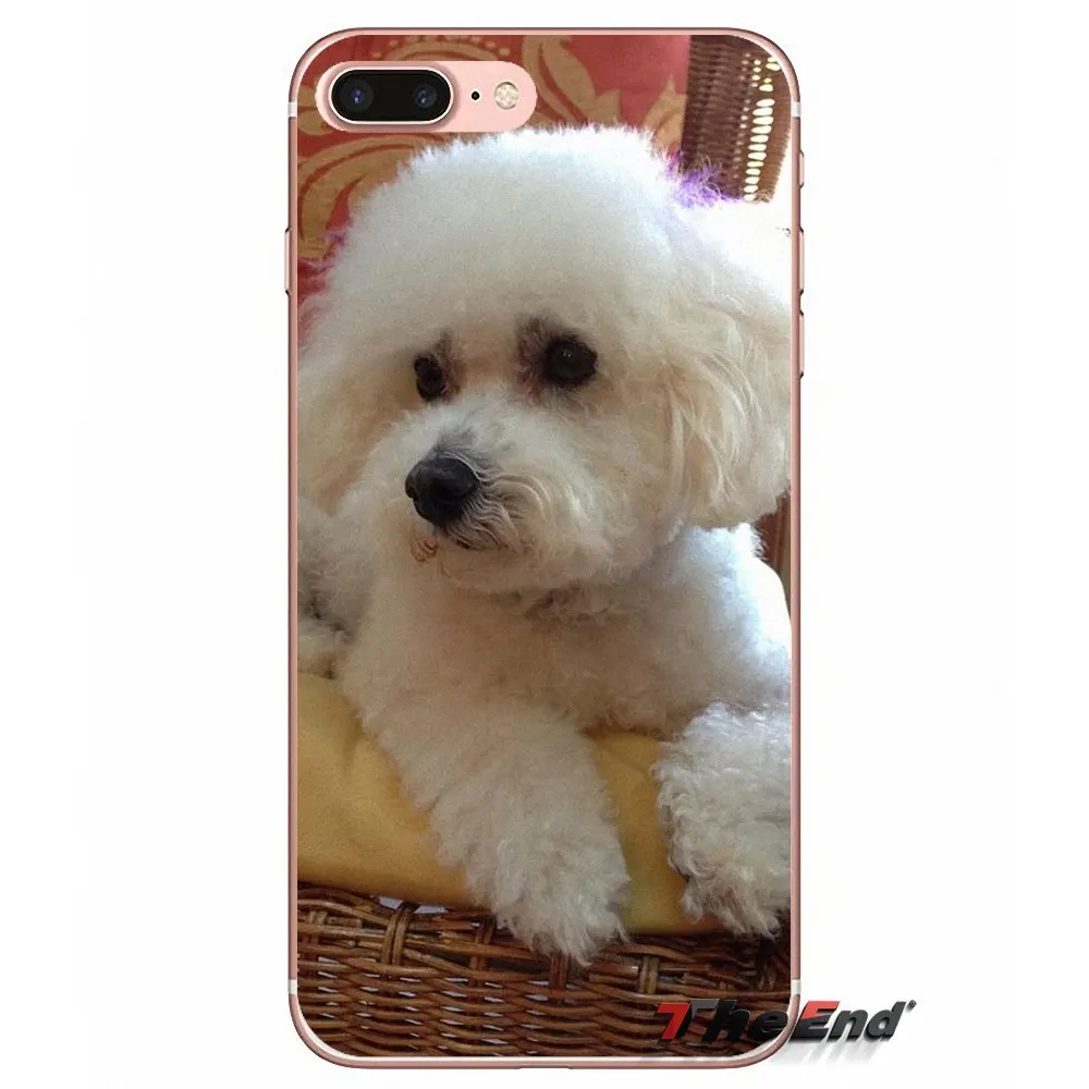 Мягкие прозрачные чехлы для Samsung Galaxy S3 S4 S5 MINI S6 S7 edge S8 S9 Plus Note 2 3 4 5 8 Bichon frise dog puppy |