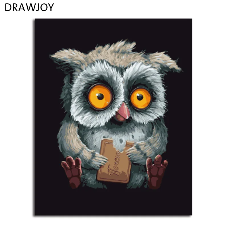 DRAWJOY в рамке DIY масляная краска DIY Краска по номерам Раскраска по номерам животные сова украшение дома