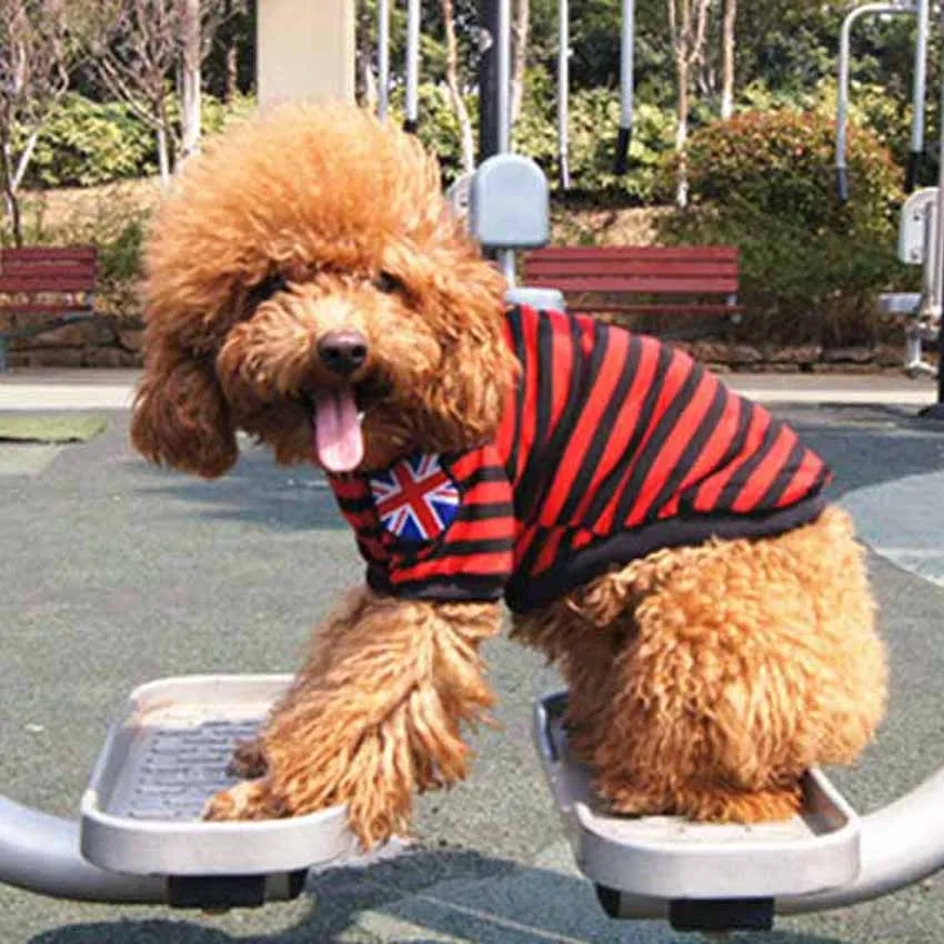 XXS одежда для щенка Йоркской ткани Чихуахуа ленте Одежда собак летняя домашних