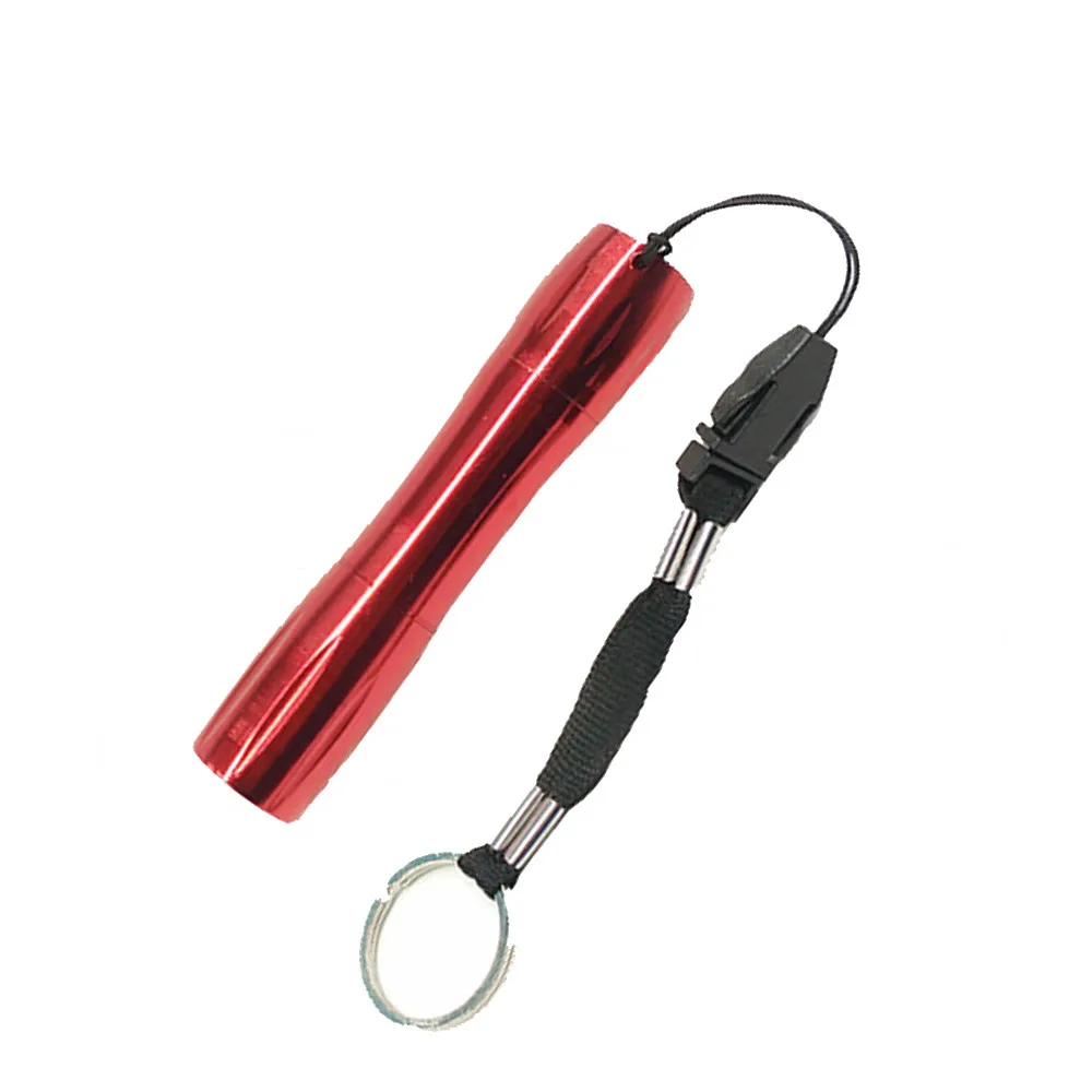 Новая мода высокое качество 1 Вт Светодиодный Мини Жесткий свет небольшой брелок