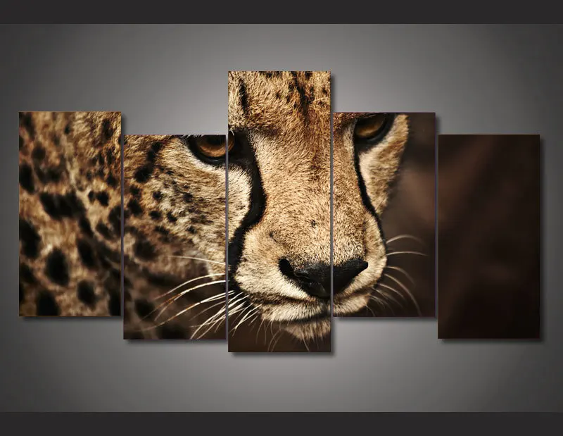 

HD Printed Animal cheetah picture Painting wall art room decor print poster picture canvas Free shipping