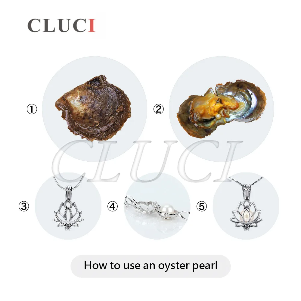 Качественные перламутровые Oyster Akoya с жемчугом 20 шт. 6 7 мм WP019SB|saltwater|saltwater pearls |