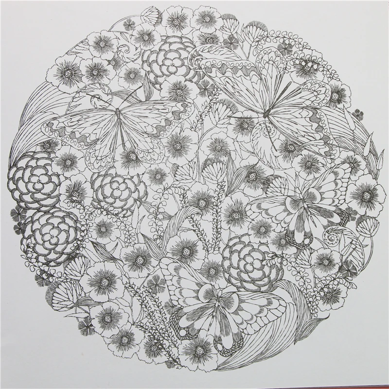 24 страницы на английском языке животные обои царство для взрослых детей