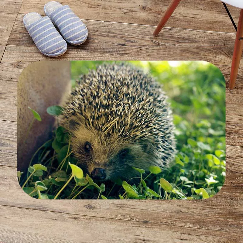 Напольный коврик hedgehog для входной двери пользовательские коврики ванной комнаты