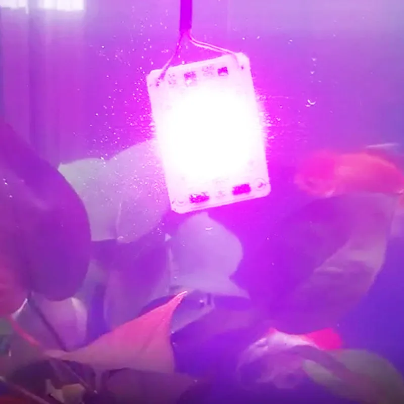 Светодиодный светильник для выращивания растений 220 В перем. Тока 100 Вт 150 200