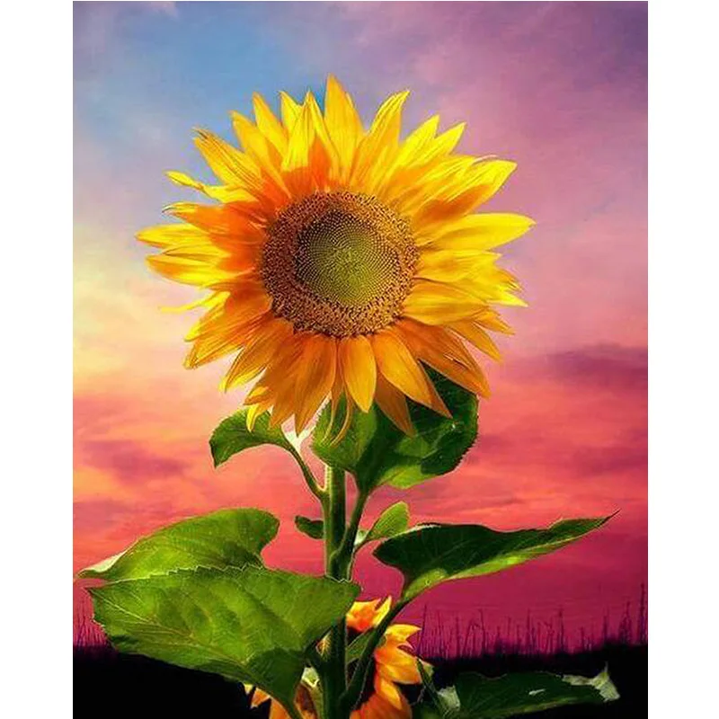 5D DIY алмазное Рисование Подсолнечник вышивка крестиком полная дрель круглая
