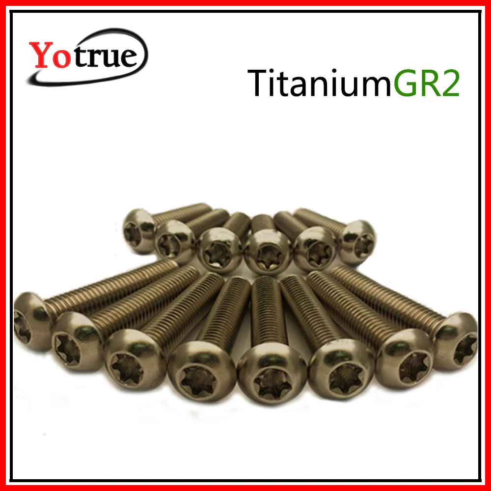 50 шт./лот #10 24*1/4 &quot~ 1&quot GR2 Чисто титановая головка с круглой головкой Torx groove винт