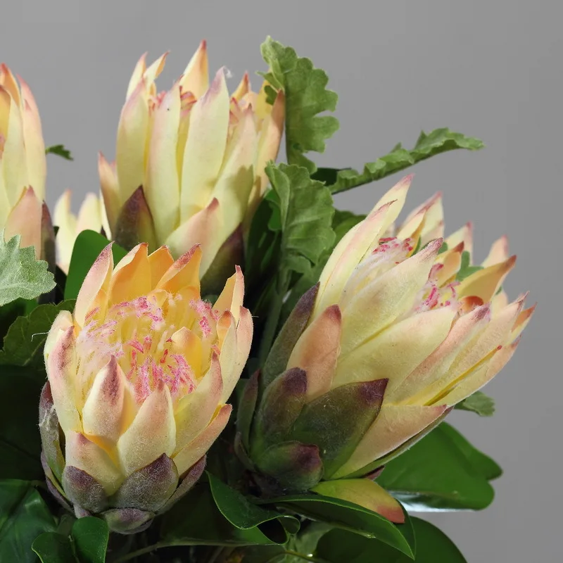 3 шт. персиковый король Protea Cynaroides 55 см Длина искусственный цветок ветка Свадьба