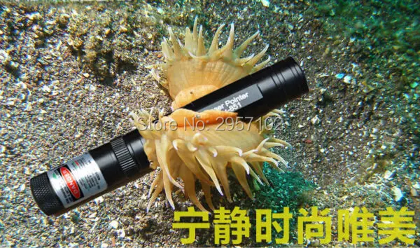 Портативная Зеленая лазерная указка с 3 милями и дальностью 100000 нм 10 Вт 851 м | Спорт