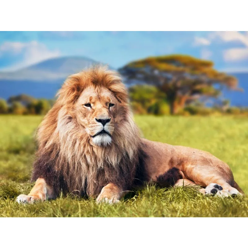 Новый 5D DIY Алмазная вышивка крестиком милый Лев Кристалл Стразы детский Декор