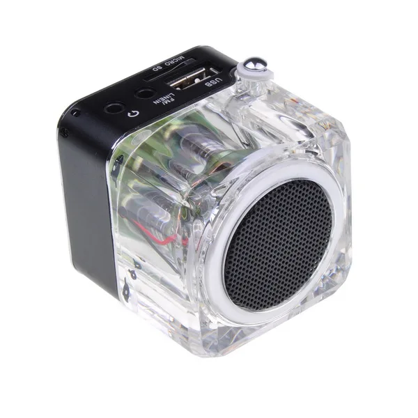 Портативный радиоприемник FM приемник мини динамик цифровой ЖК звук Micro SD/TF Музыка