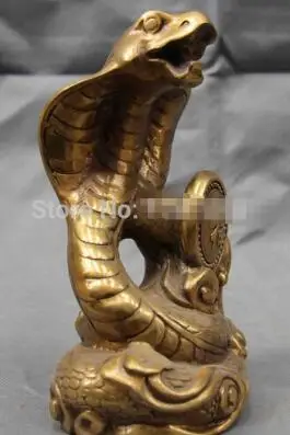 8 Китайская народная Медь Бронзовый фэн-шуй повезло зодиака змеи serpent Книги по