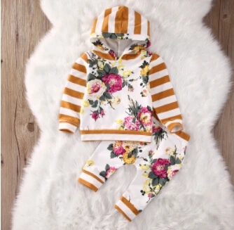 

3Month -7years kid autumn New baby boy clothes Kids Baby Girls Long Sleeve Hooded Sweatshirt Tops Floral Pants 2pcs Outfits Se