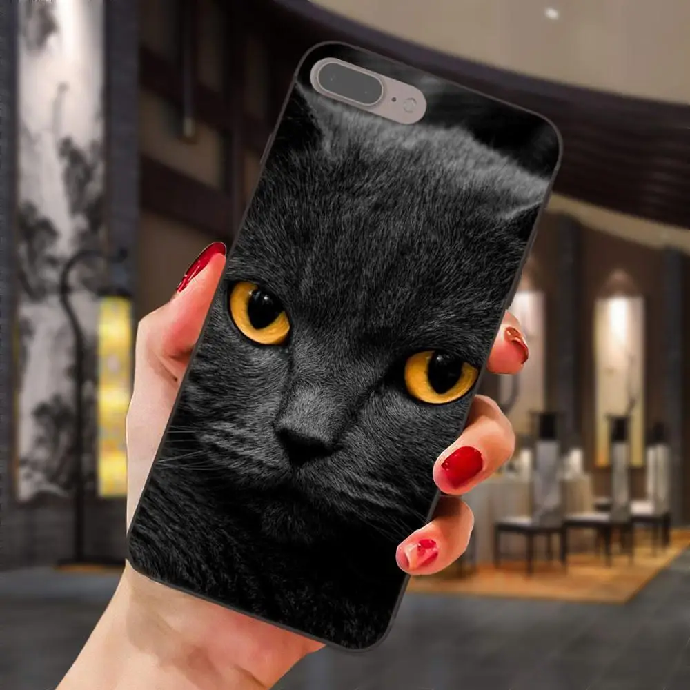 as picture Просвечивающий чехол из мягкого британская; топ с рисунком кошки для huawei Honor 5A 6A 6C 7A 7C 7X 8A 8C 8X9 10 P8 P9 P10 P20 P30 Мини Lite рlus - Цвет: as picture