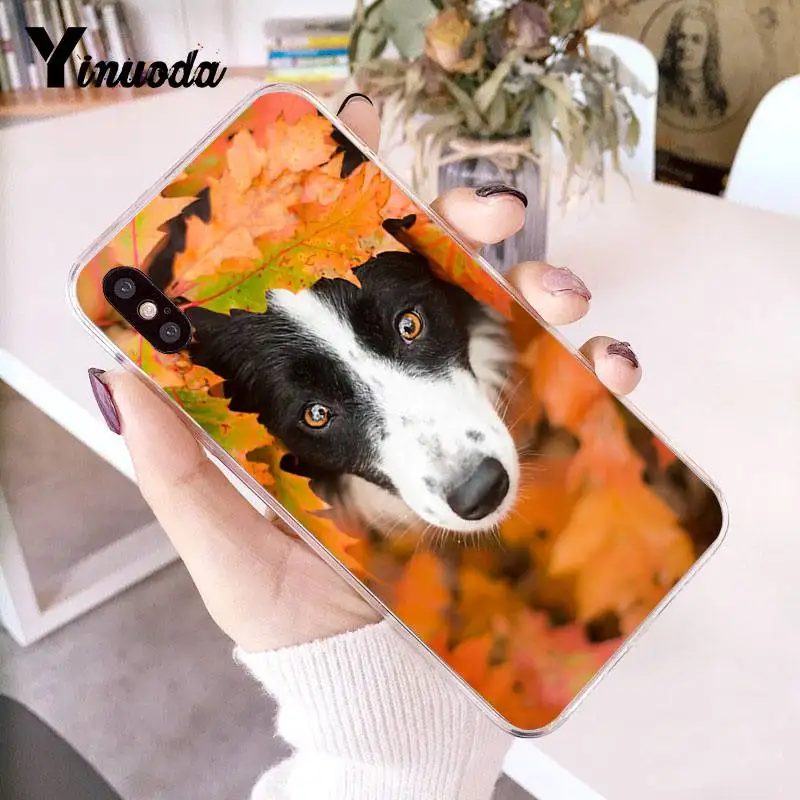 Прозрачный чехол Yinuoda для iPhone 7 6 X 8 6S Plus 5 SE XR XS XSMAX | Мобильные телефоны и аксессуары