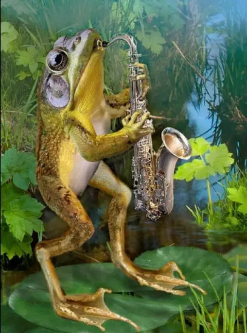 Алмазная мозаика полная Вышивка лягушка удар Sax DIY Картина крестом кристалл