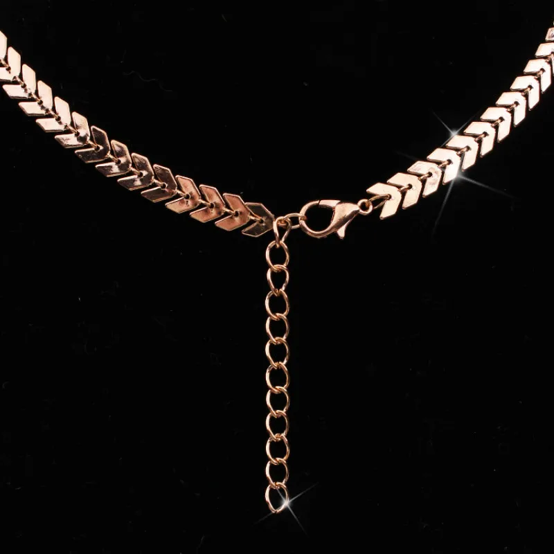 2021 Nova Moda Corrente gargантиha две камеры Colares fishbone Aviao Forma Cor Do Ouro Colar Plana joias|necklace tattoos|fashion