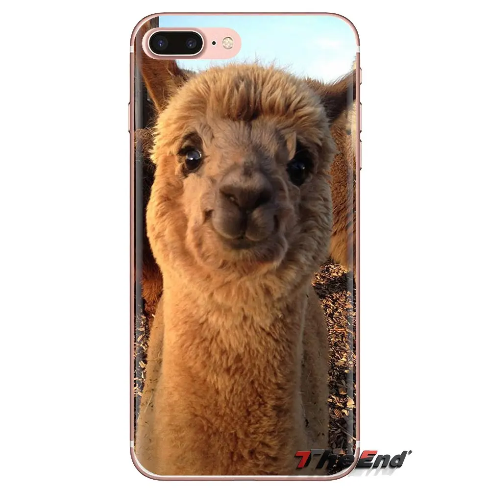 Для iPod Touch Apple iPhone 4 4S 5 5S SE 5C 6 6S 7 8 X XR XS Plus MAX силиконовый чехол для телефона милый