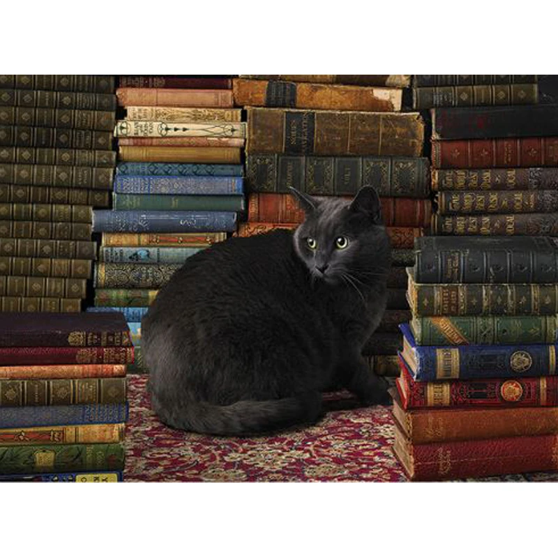 Zhuistar Черный кот книги комнаты 5d diy алмаз живопись полный круглый горный хрусталь