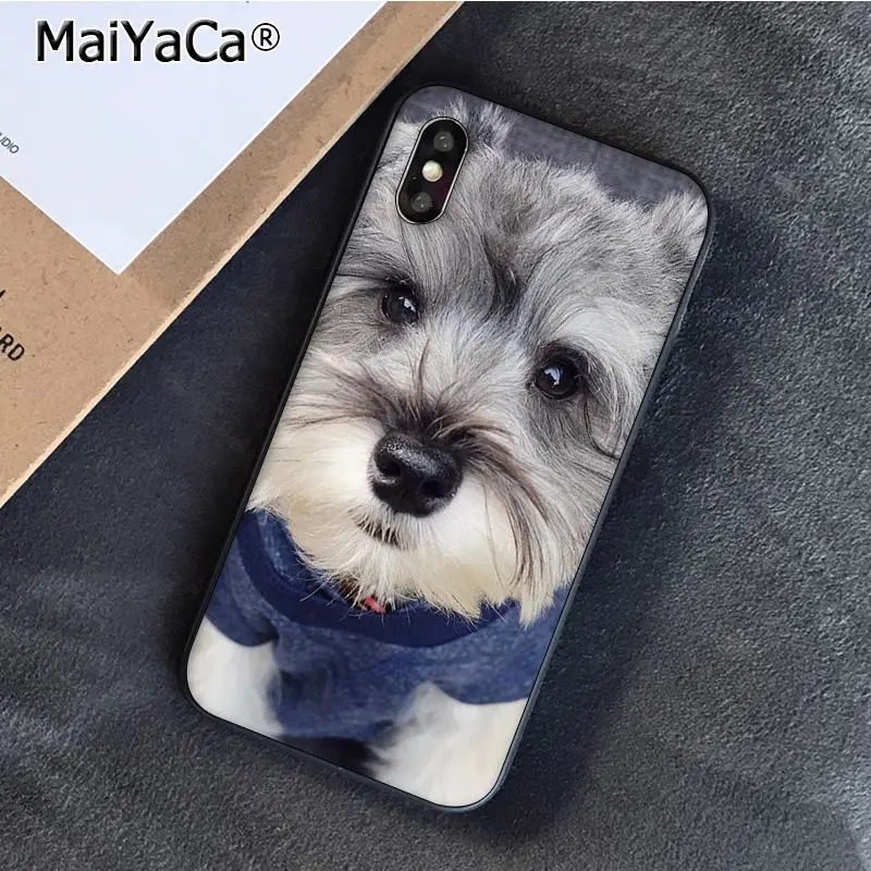 Чехол для телефона с изображением щенка шнауцера iphone 12 11 pro MAX 8 7 6 6S Plus X XS 5
