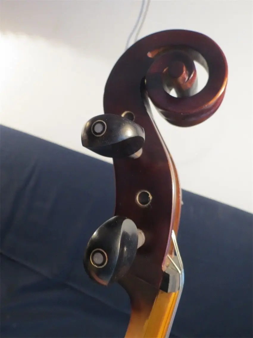 

SONG Maestro 4 string 29 1/2 , da gamba