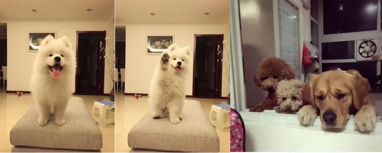 Новый LT1090C-H 4 электрическая Шестерня сушилки скорость двойной мотор