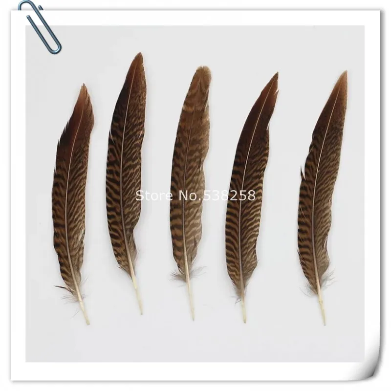 Натуральное перо фазана 15 80 см Зебра фотоэлемент для свадьбы/платья/украшения
