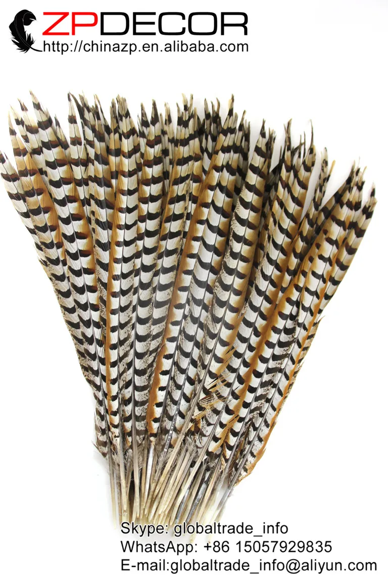 Zpdecoration 50 шт./лот 60-70 см (24-28 дюймов) Высокое качество натуральные перья из хвоста