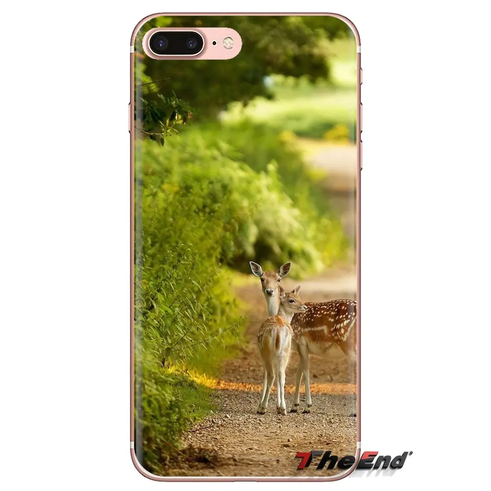 Silicone Phone Cover Bag For Samsung Galaxy J1 J2 J3 J4 J5 J6 J7 J8 Plus 2018 Prime 2015 2016 2017 Deer Pictures Backgrounds |