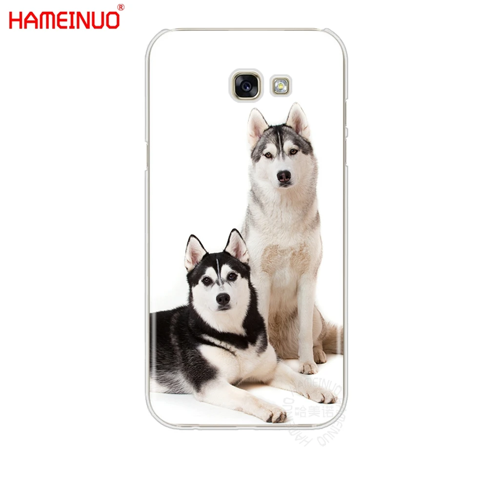 HAMEINUO Хаски щенок сотовый телефон чехол для Samsung Galaxy A3 A310 A5 A510 A7 A8 A9 2016 2017 | Мобильные