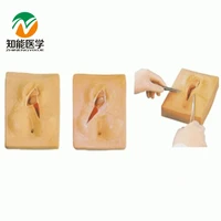 chinon medical private parts vulva pudendum suture training model medicine student medical science education bix f3b