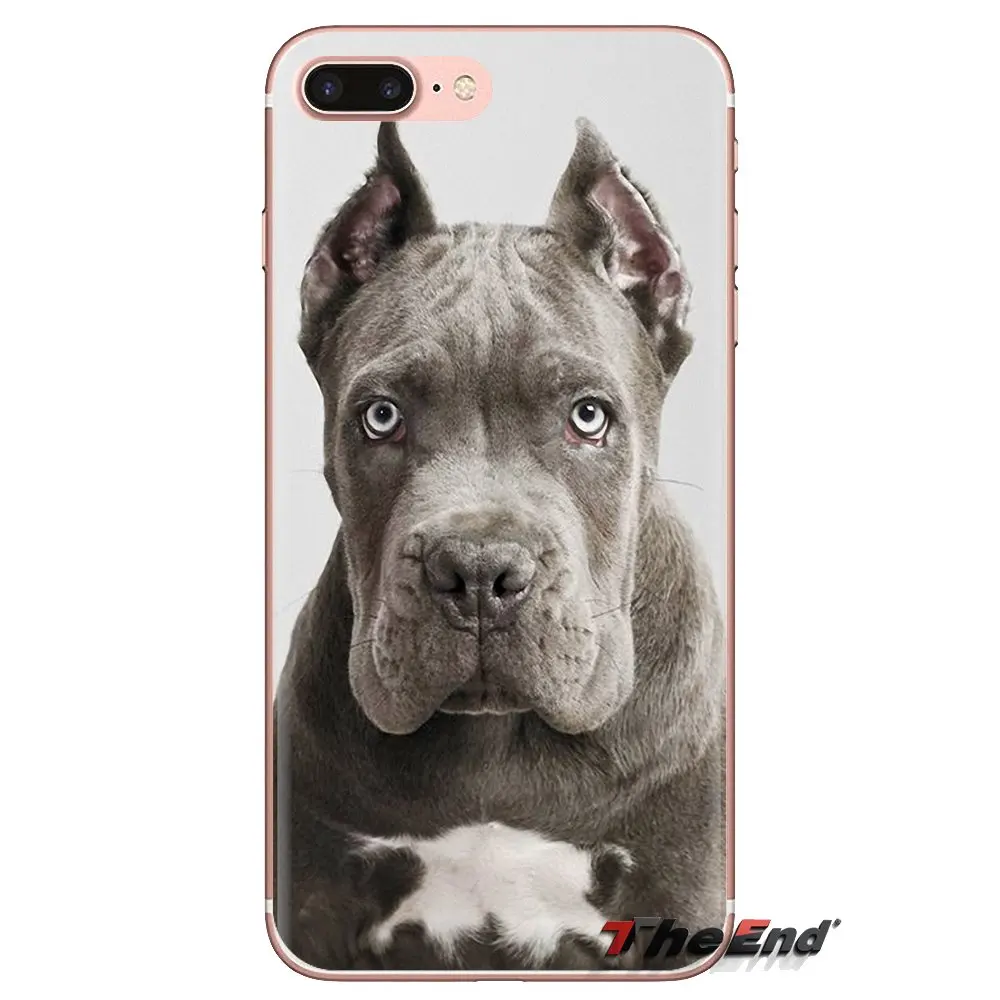 Прозрачный чехол из ТПУ для iPod Touch Apple iPhone 4 4S 5 5S SE 5C 6 6S 7 8 X XR XS Plus MAX итальянские