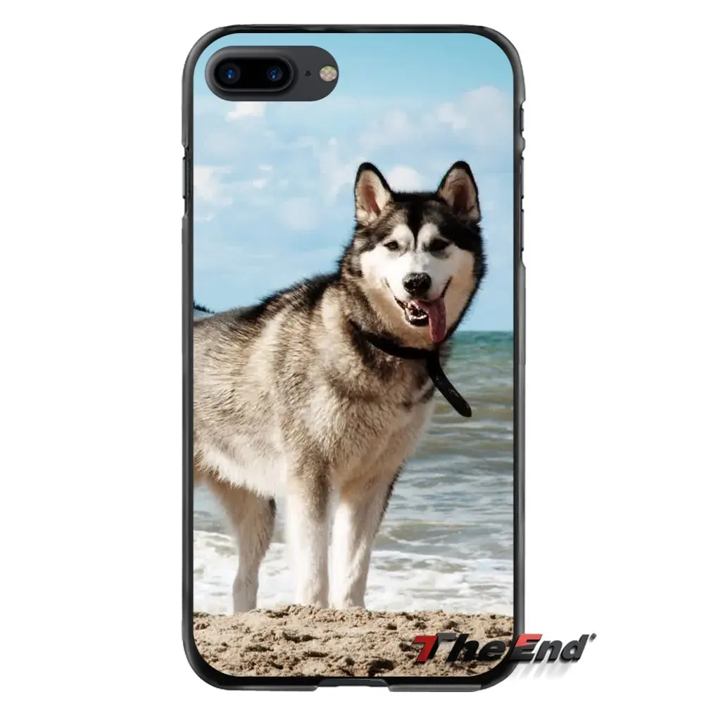 Аксессуары чехлы для телефонов Husky Dog Apple iPhone 4 4s 5 5S 5C SE 6 S 7 8 Plus X iPod Touch
