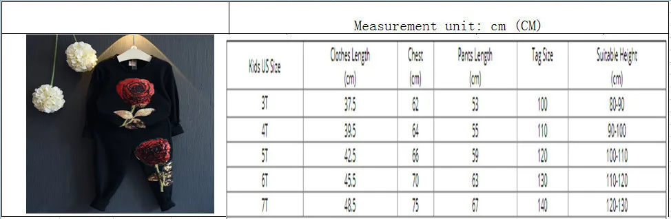 Children's Suit New Spring And Autumn Velvet Sets Europe And America Style Baby Girls Boys Tide Suit Kids Clothes 2PCS