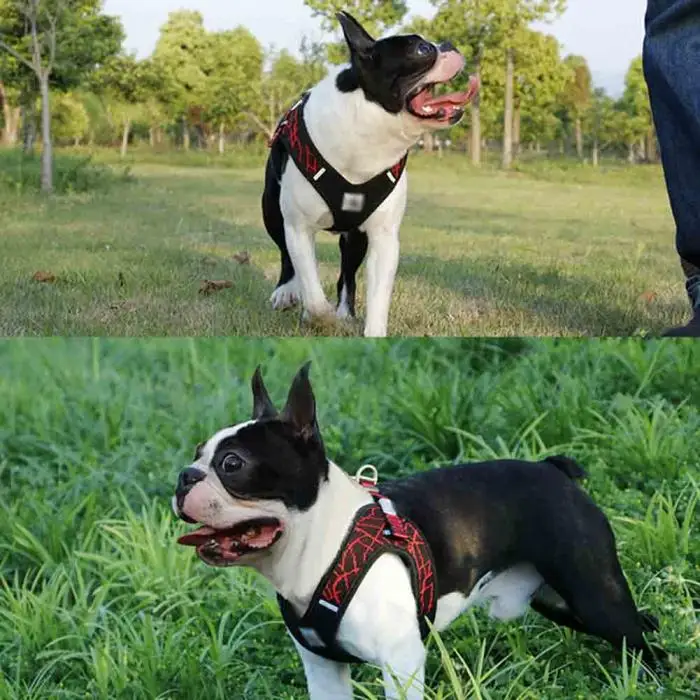 Pet Dog Puppy обхватывающие Грудь Ремни Ошейники дышащие для тренировок вытягивание магазин прогулок